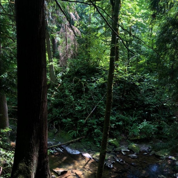 Meet your Posher, isis - Picture 4 of 5